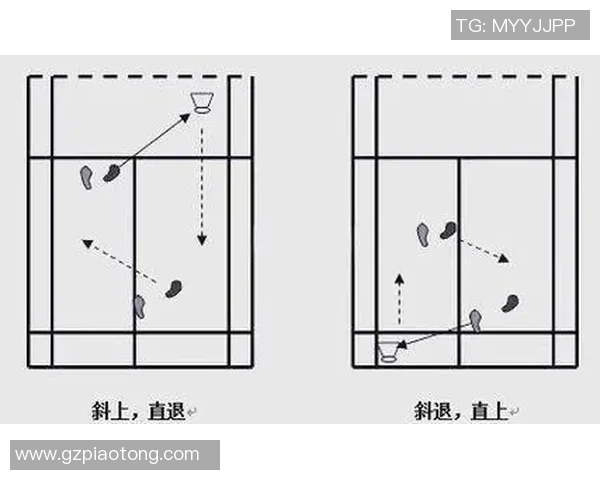 北京羽毛球队在锦标赛中的默契配合与战术分析探讨 北京羽毛球队在锦标赛中的默契配合与战术分析探讨
