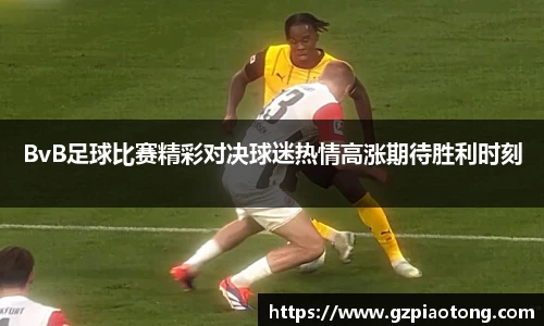 BvB足球比赛精彩对决球迷热情高涨期待胜利时刻