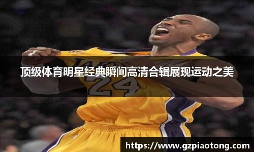 mk体育官网入口
