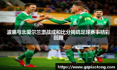 mk体育官网入口