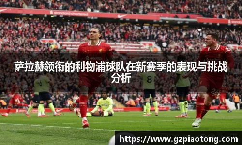 mk体育官网入口