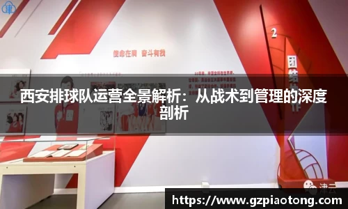 mk体育官网入口