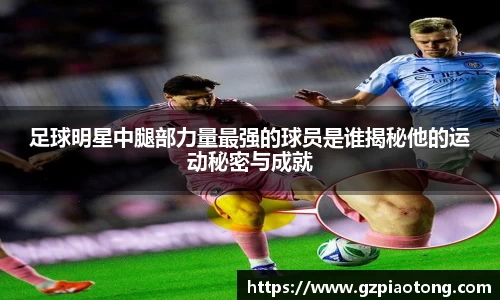 mk体育官网入口